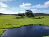 2 Conspicuous Beach Road, Nornalup WA 6333-Image