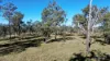 2002 Kingaroy - Cooyar Road, Brooklands, Qld 4615-Image