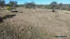 2002 Kingaroy - Cooyar Road, Brooklands, Qld 4615-Image