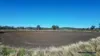 2002 Kingaroy - Cooyar Road, Brooklands, Qld 4615-Image