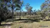 2002 Kingaroy - Cooyar Road, Brooklands, Qld 4615-Image