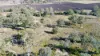 2002 Kingaroy - Cooyar Road, Brooklands, Qld 4615-Image