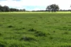 2003 Settlement Road, Napier, WA 6330-Image