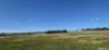 201 Jeffs Road, Jingalup, WA 6395-Image