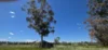 201 Jeffs Road, Jingalup, WA 6395-Image
