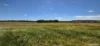 201 Jeffs Road, Jingalup, WA 6395-Image