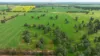 204 Flaxvale Road, Goombargana, NSW 2646-Image