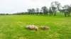 204 Flaxvale Road, Goombargana, NSW 2646-Image
