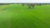 204 Flaxvale Road, Goombargana, NSW 2646-Image