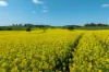 2056 Benalla-Yarrawona Road, Bungeet West VIC 3726-Image
