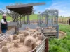 2056 Benalla-Yarrawona Road, Bungeet West VIC 3726-Image