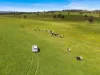 2056 Benalla-Yarrawona Road, Bungeet West VIC 3726-Image