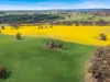 2056 Benalla-Yarrawona Road, Bungeet West VIC 3726-Image