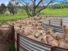 2056 Benalla-Yarrawona Road, Bungeet West VIC 3726-Image