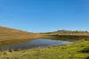 2059 Wivenhoe Somerset Road, Bryden QLD 4312-Image