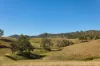 2059 Wivenhoe Somerset Road, Bryden QLD 4312-Image