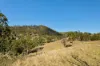 2059 Wivenhoe Somerset Road, Bryden QLD 4312-Image