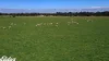 209 Gooch Road, Stratford, Vic 3862-Image