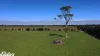 209 Gooch Road, Stratford, Vic 3862-Image