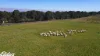 209 Gooch Road, Stratford, Vic 3862-Image