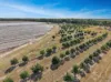 21 Woods West Road, Alloway, Qld 4670-Image