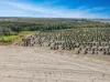21 Woods West Road, Alloway, Qld 4670-Image