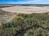 21 Woods West Road, Alloway, Qld 4670-Image