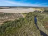 21 Woods West Road, Alloway, Qld 4670-Image