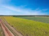 21 Woods West Road, Alloway, Qld 4670-Image