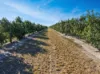 21 Woods West Road, Alloway, Qld 4670-Image