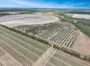 21 Woods West Road, Alloway, Qld 4670-Image