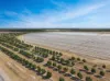 21 Woods West Road, Alloway, Qld 4670-Image