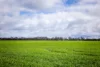 210 Cumings Road, Peronne, Vic 3413