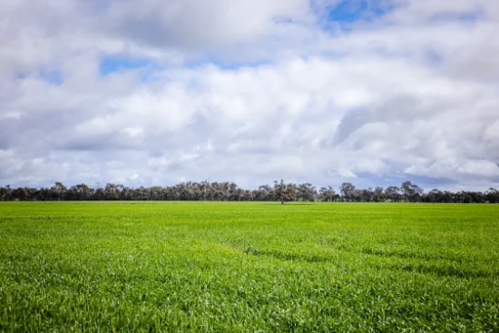 210 Cumings Road, Peronne, Vic 3413