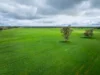 210 Cumings Road, Peronne, Vic 3413-Image
