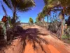 210 Mulgara Road, Berry Springs, NT 0838
