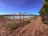 210 Mulgara Road, Berry Springs, NT 0838-Image