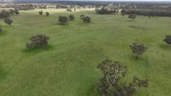 2123 Bangham Road, Bangham, SA 5268