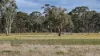 2123 Bangham Road, Bangham, SA 5268-Image