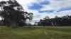 2123 Bangham Road, Bangham, SA 5268-Image