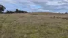 2123 Bangham Road, Bangham, SA 5268-Image