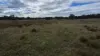 2123 Bangham Road, Bangham, SA 5268-Image