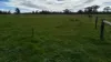 2123 Bangham Road, Bangham, SA 5268-Image