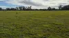 2123 Bangham Road, Bangham, SA 5268-Image