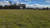 2123 Bangham Road, Bangham, SA 5268-Image