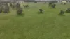 2123 Bangham Road, Bangham, SA 5268-Image