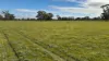 2123 Bangham Road, Bangham, SA 5268-Image