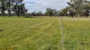 2123 Bangham Road, Bangham, SA 5268-Image