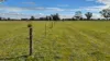 2123 Bangham Road, Bangham, SA 5268-Image