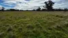 2123 Bangham Road, Bangham, SA 5268-Image